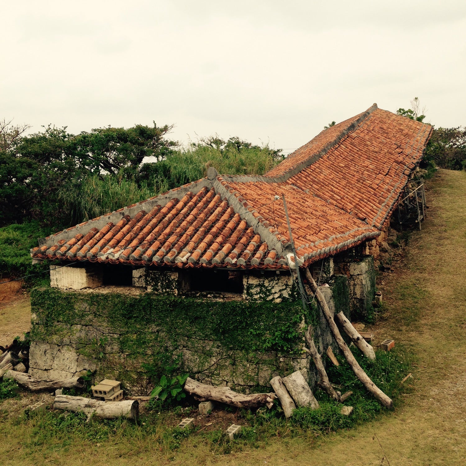 やちむん(陶器)の歴史 - mundasui