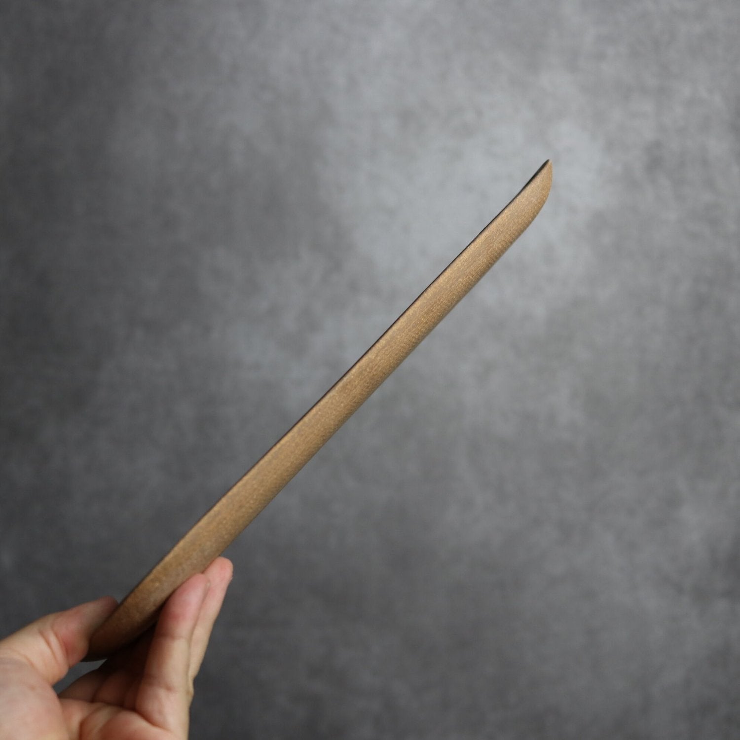 カメ 長角皿(長)