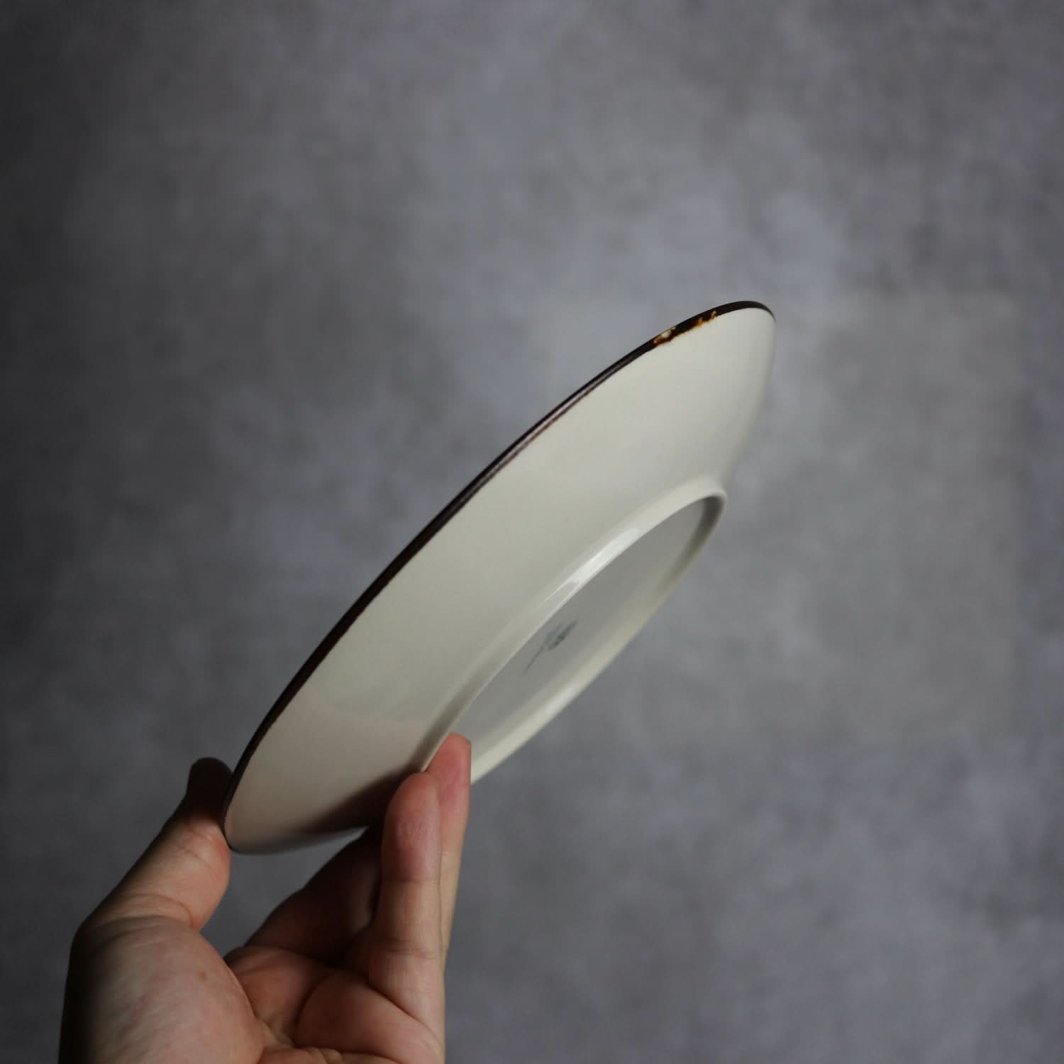 6寸皿 ヤンバルクイナパイン やちむん 陶器 atelier qucchane やちむん 陶器.