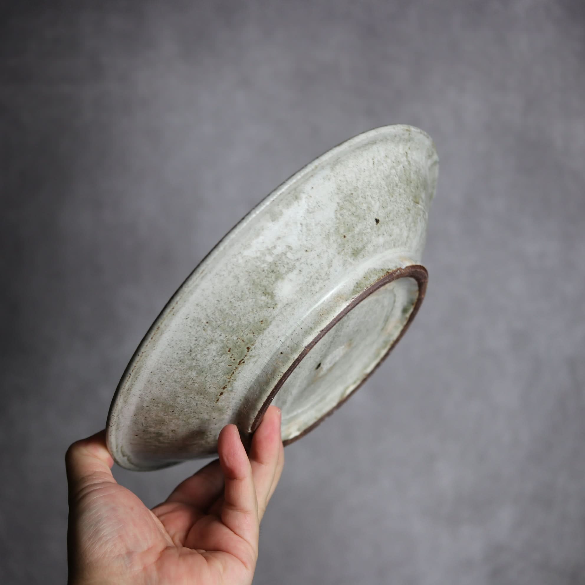 8寸リム丸皿1 白 やちむん 陶器 森製陶所 やちむん 陶器.