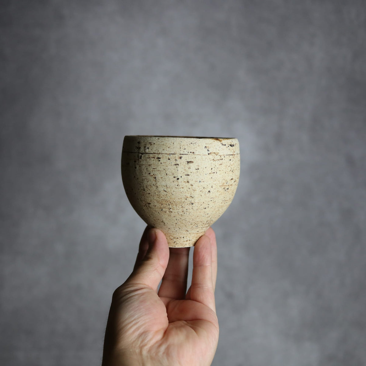 ロックカップ10 やちむん 陶器 田村聡士 mano619