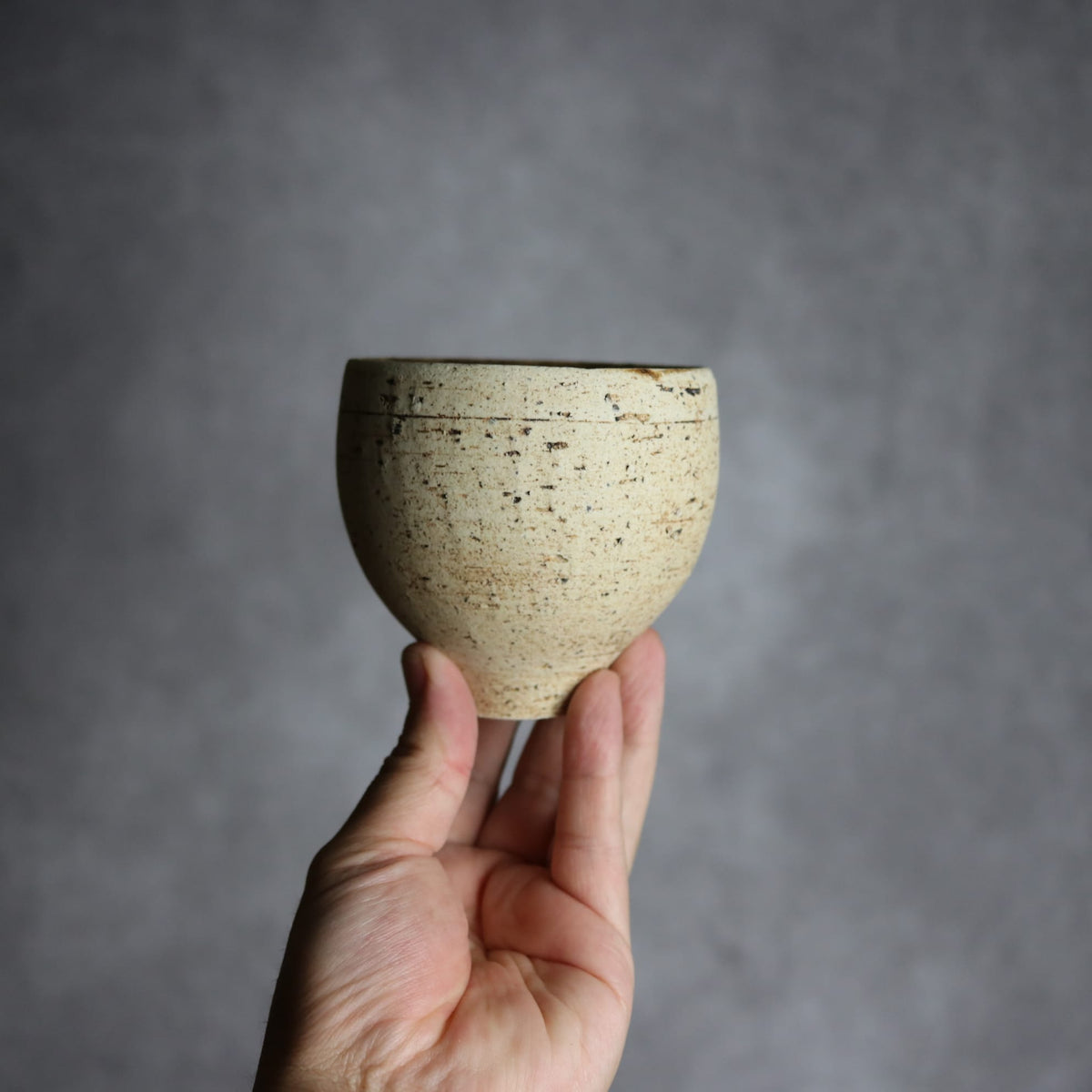 ロックカップ10 やちむん 陶器 田村聡士 mano619