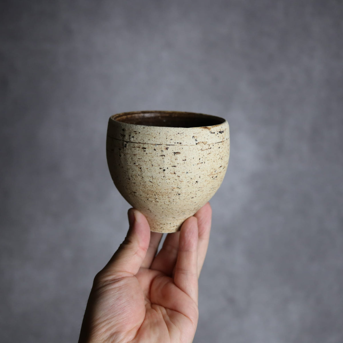 ロックカップ10 やちむん 陶器 田村聡士 mano619