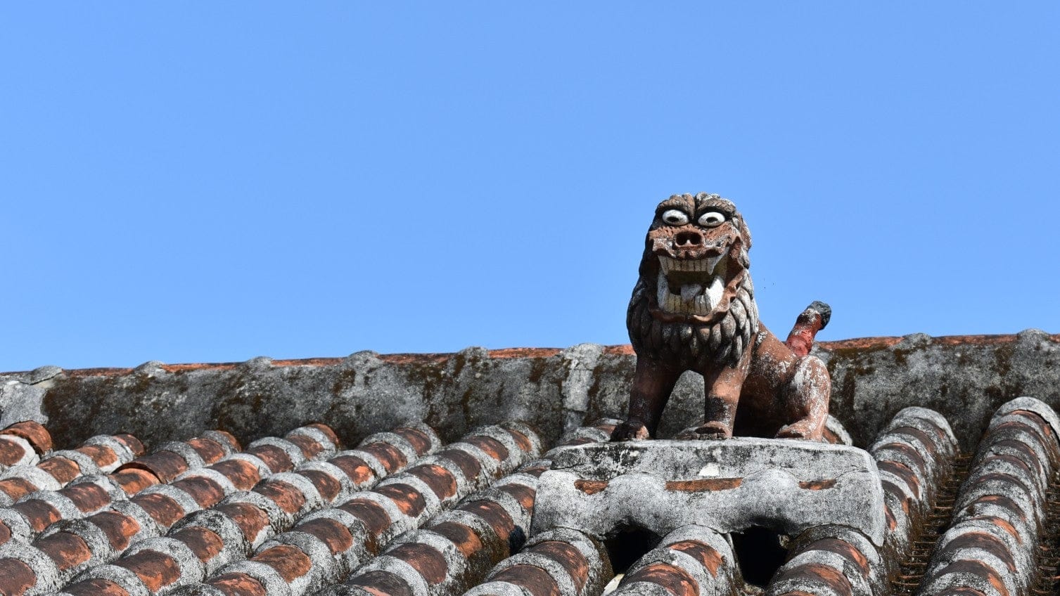 シーサー_屋根上シーサー