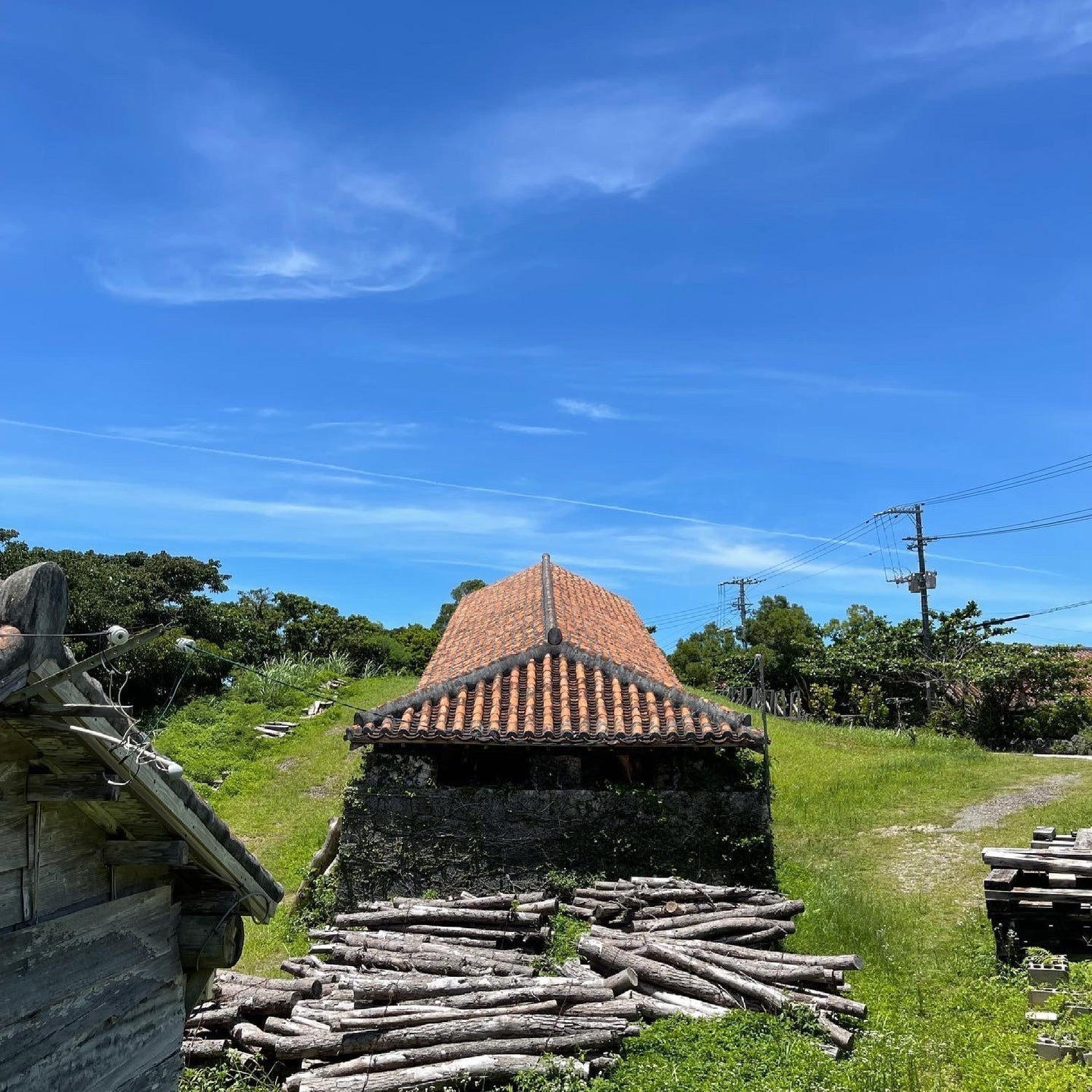 知っておきたい、やちむんと陶器にまつわる基礎用語 - mundasui