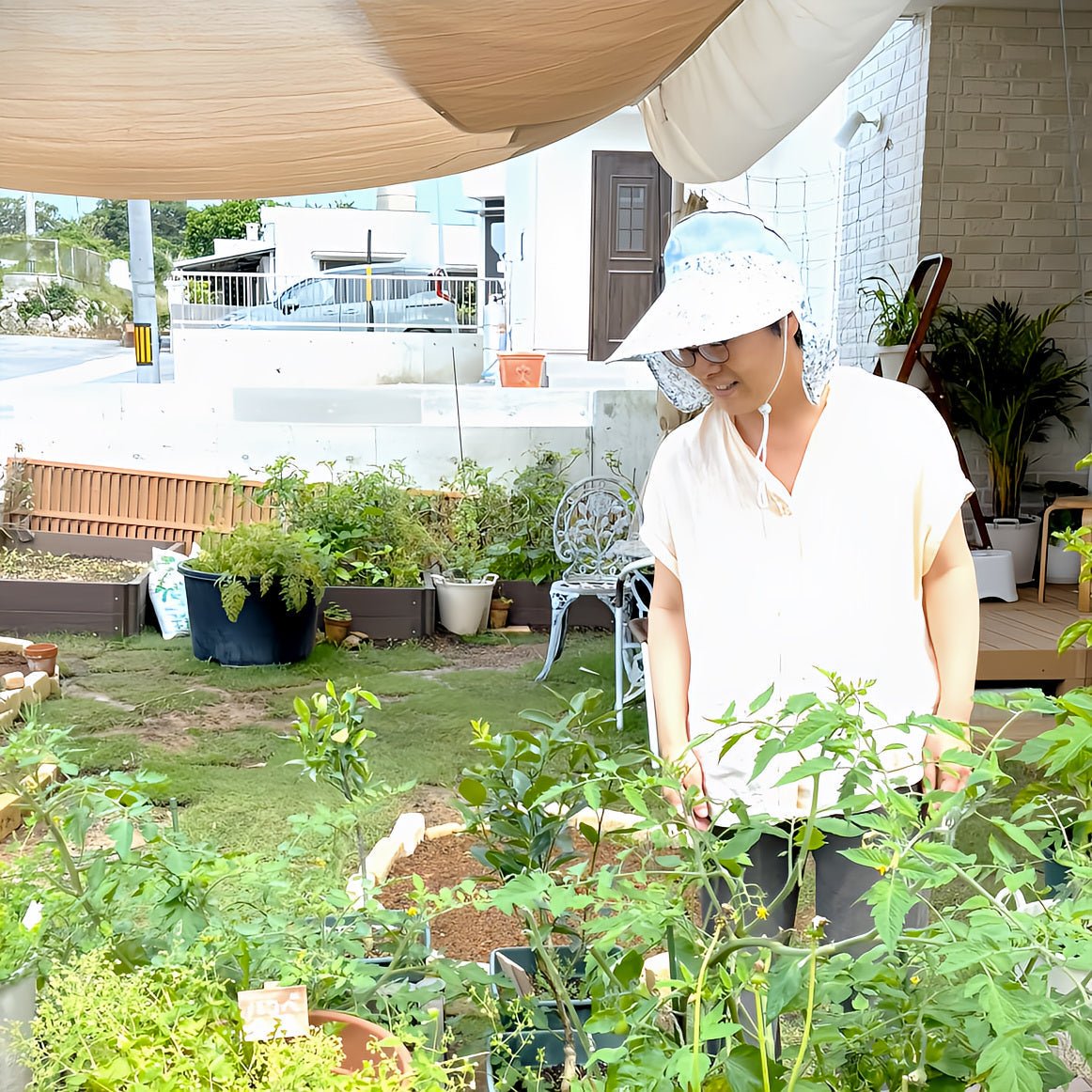 大滝百合子 | 草をつんで - mundasui