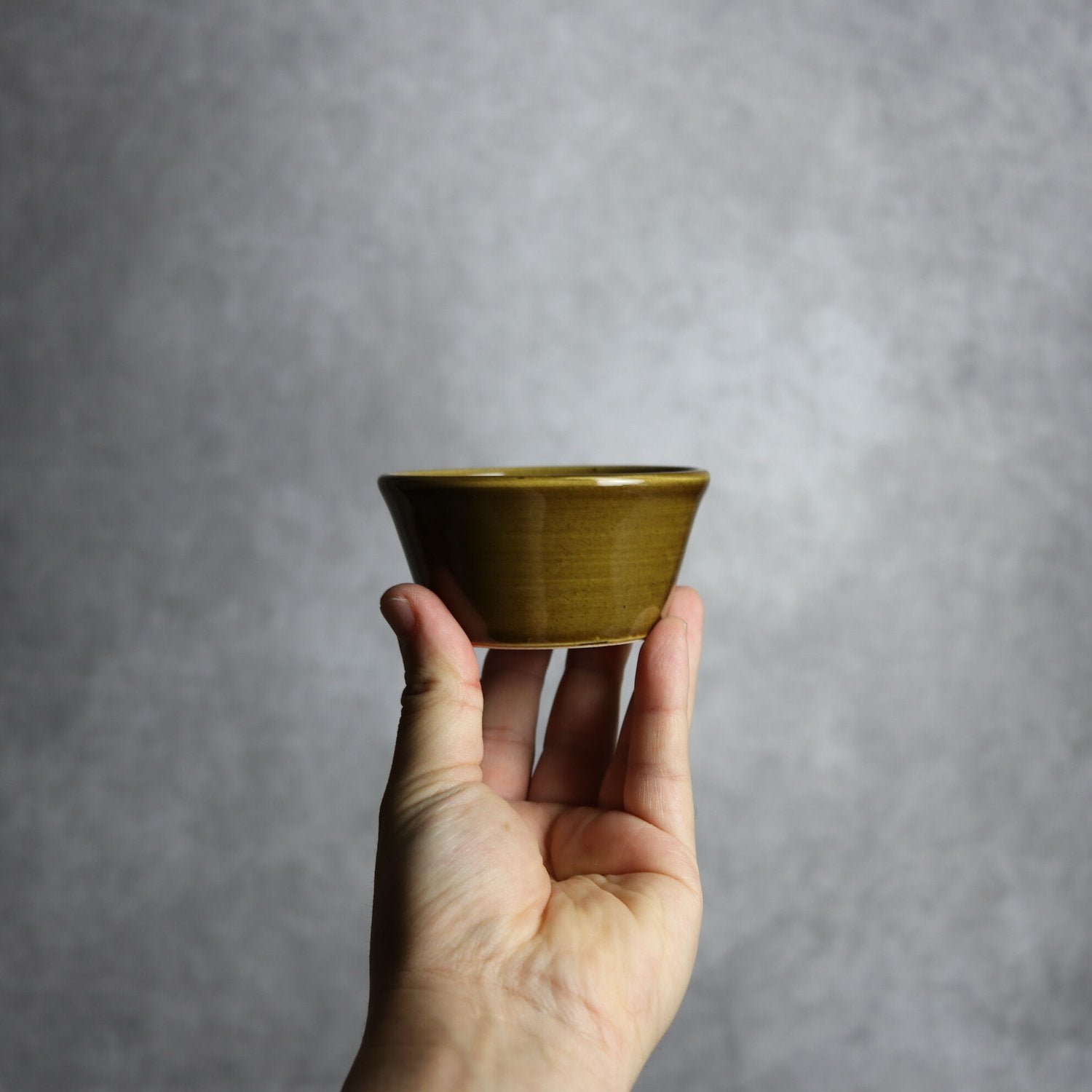 鉢（茶）：9cm