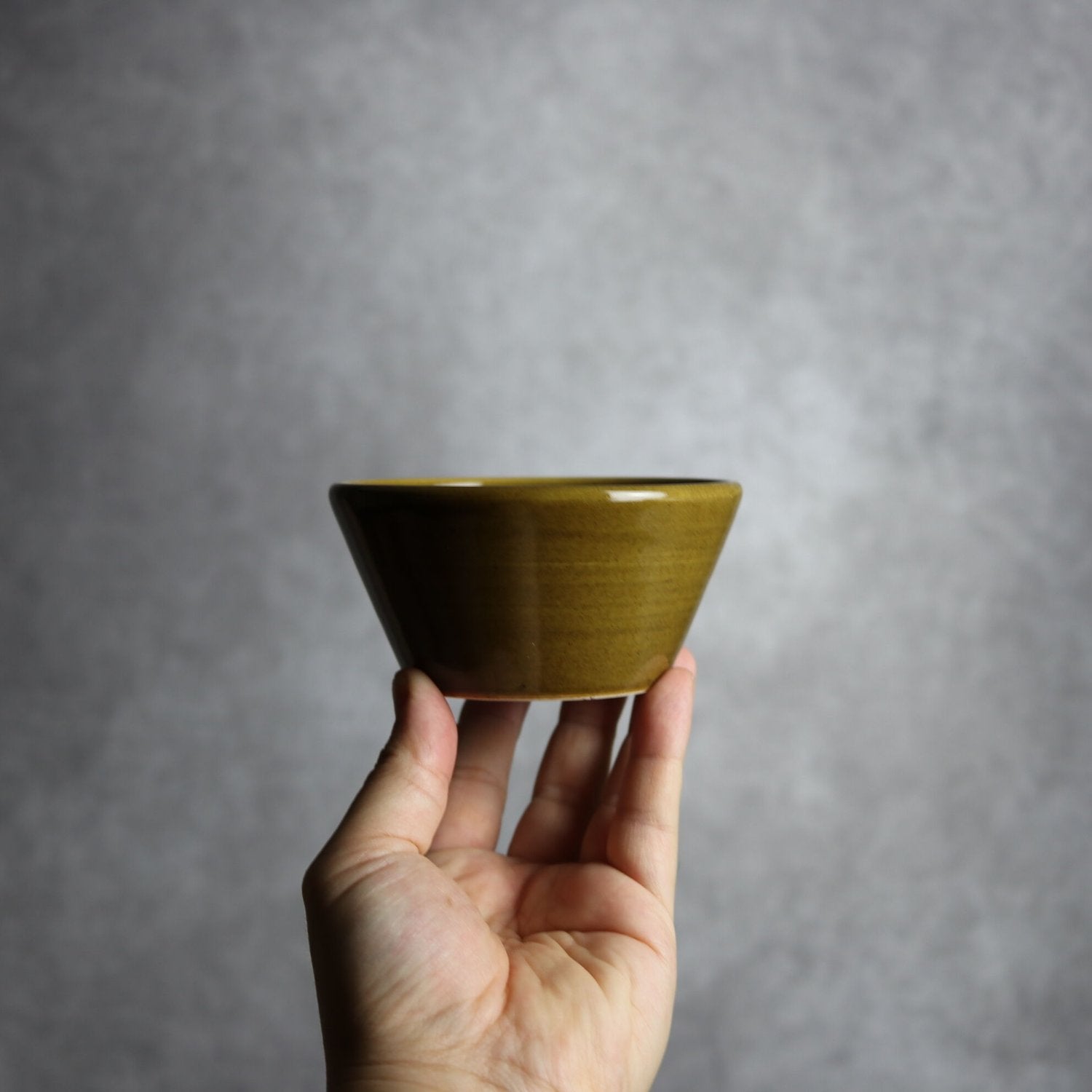 鉢（茶）：11cm