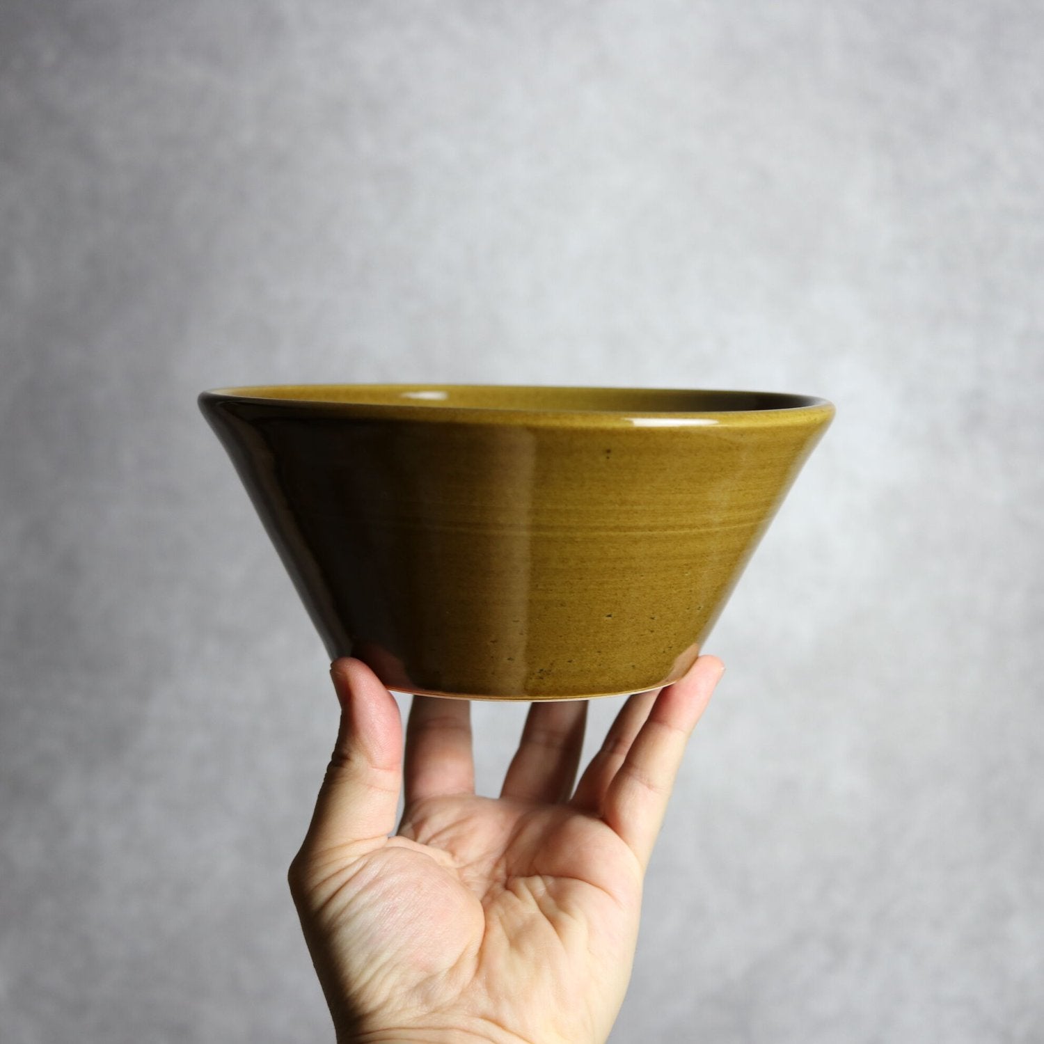 鉢（茶）：18cm