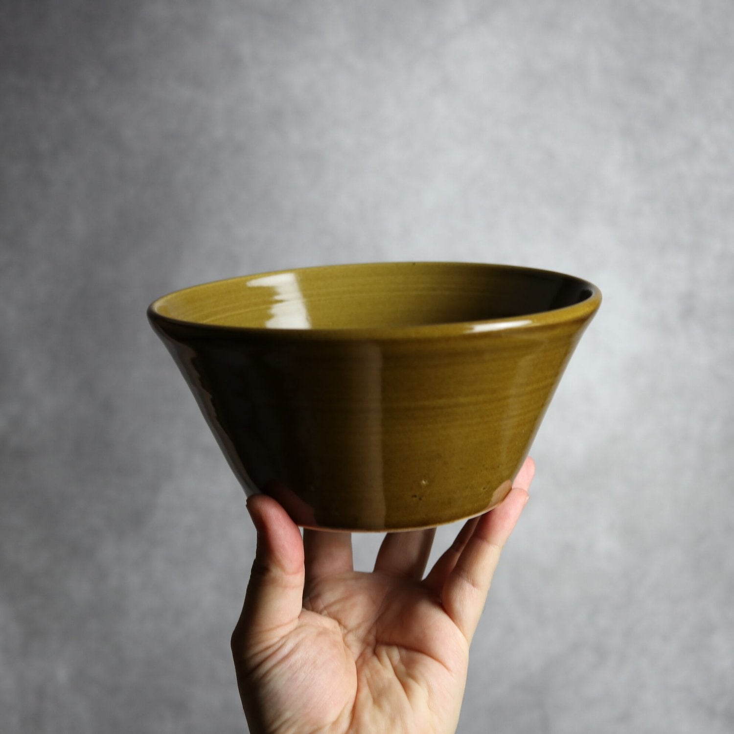 鉢（茶）：18cm