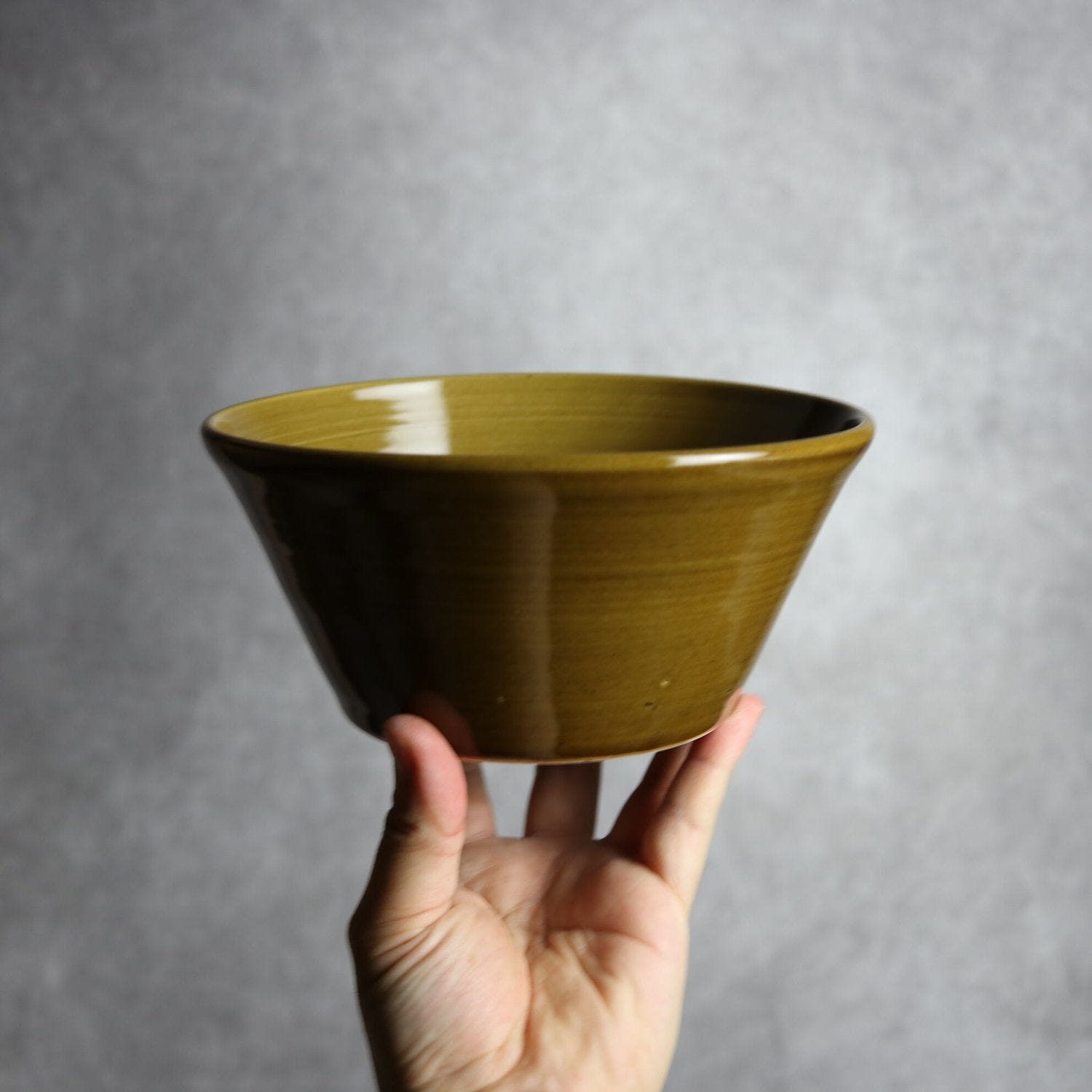 鉢（茶）：18cm