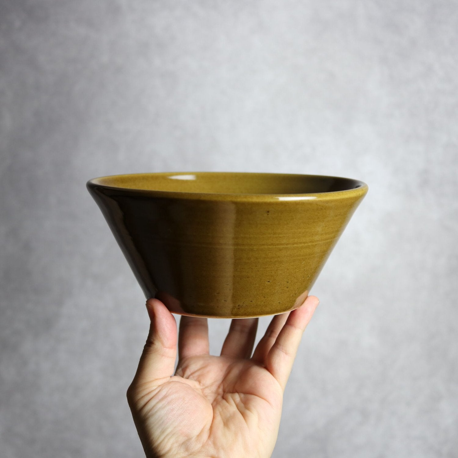 鉢（茶）：18cm